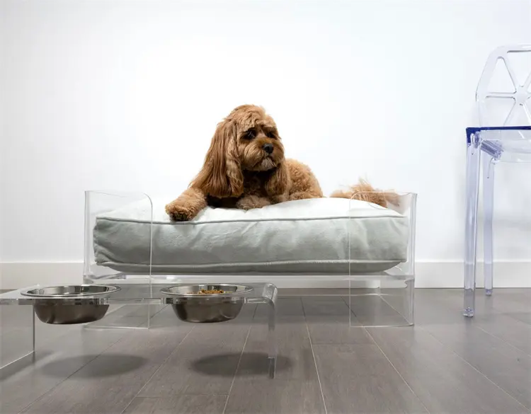 Transparent Hot Sale Acrylic Pet Bed Dog Crate Dog House