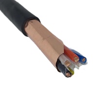 Câble de commande en cuivre isolé et gainé en PVC avec blindage en feuille de cuivre KVVP2