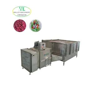 Tùy biến ngành công nghiệp Hộp máy sấy khô cho hành tây dehydrator