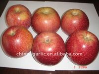 (Vente en gros Fuji) Pomme rouge Fuji authentique du Shandong, croustillante et sucrée, fruit frais à vendre