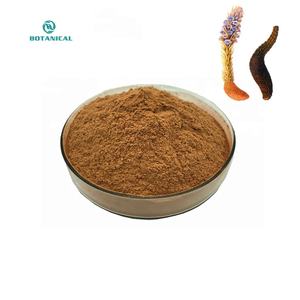 Ekstrak tanaman <span class=keywords><strong>Cistanche</strong></span> herbal alami bubuk ekstrak <span class=keywords><strong>Cistanche</strong></span> 80% Glycosides, 25% Echinacosides <span class=keywords><strong>Cistanche</strong></span> - Product Image 2