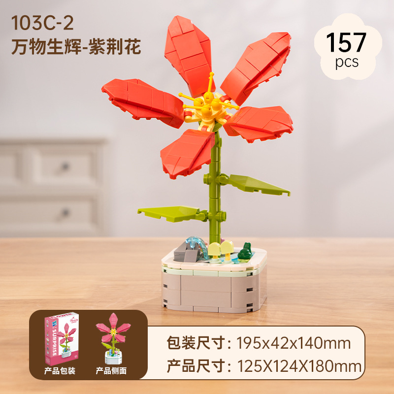 Bauhinia flower