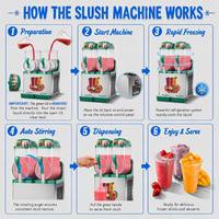 Machine à Granita Commerciale 12L x 2 avec Écran LED, Panneau en Acier Inoxydable 304, Protection Haute Température pour Boissons Glacées