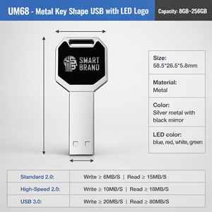 Luxury Gift UM68 Key Shape <strong>USB</strong> <strong>2.0</strong> Flash <strong>Drive</strong> New Custom Laser LED Brand Logo Metal <strong>USB</strong> Pendrive 10-Year Data Retention CE OHs - Product Image 2
