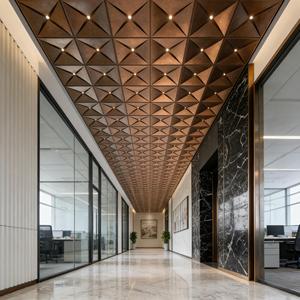 Soffitto Moderno in Metallo Irregolare Personalizzato, Curvo in Acciaio Inossidabile, Ignifugo e Impermeabile, Decorativo per Hotel e Centri Commerciali - Product Image 1