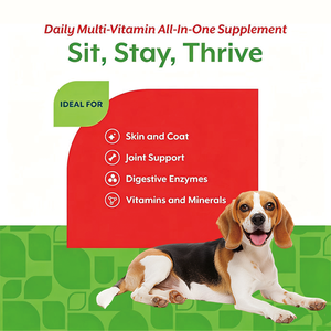 Fusion de saveurs bacon-poulet pour chiens : Multivitamines quotidiennes avec soutien 4-en-1 pour la santé de la peau, des articulations et de l'intestin – Marque privée - Product Image 4