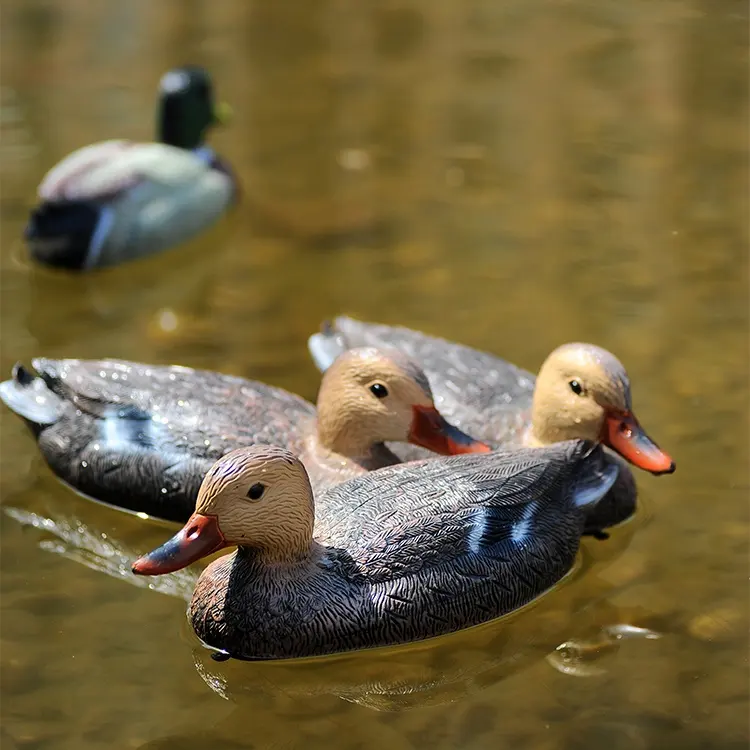 Decodificadores de cisne pretos, alta qualidade ao ar livre, decodificadores de cisne, caça