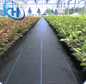 Anti Grass Weed Mat Weed Control Barrier Landscape Mulching Fabric For Greenhouse Woven Geotextile