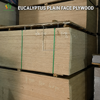 Contrachapado de Eucalipto Liso sin Acabado, Lámina de Madera Dura para Embalaje, Encofrado, Proyectos de Construcción, WBP, MR, Pegamento, Tamaño Personalizado