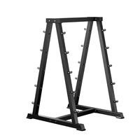Support de Rangement Commercial Robuste en Acier pour Haltères et Poids Libres de Haute Qualité