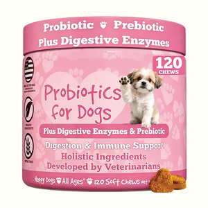 Probiotiques Flora Shield pour chiens OEM ODM à puissance maximale, avec enzymes digestives et prébiotiques, 120 comprimés à mâcher pour une <span class=keywords><strong>flore</strong></span> <span class=keywords><strong>intestinale</strong></span> saine - Product Image 1