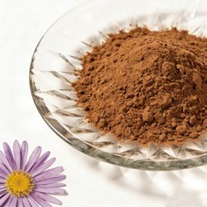 Высококачественный экстракт эхинацеи пурпурной оптом по лучшей цене - Product Image 2