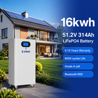 Batterie LiFePO4 sur pied 16 kWh 51,2 V 314 Ah pour stockage solaire domestique, 8000 cycles, certifiée CE, vente en gros