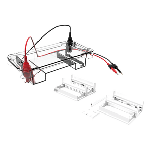 Système d'électrophorèse verticale et horizontale pour la recherche en biologie, séparation ADN/ARN - Product Image 4