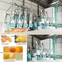 Ligne de production de farine de maïs commerciale Haiyun / Machine de traitement de semoule de maïs, moteur 30 tonnes de capacité, haute sécurité, moulin à farine 380V