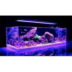 Fabricante profesional 1000L forma redondeada 80 galones acrílico pecera, Acquario <span class=keywords><strong>marino</strong></span> % - Product Image 3