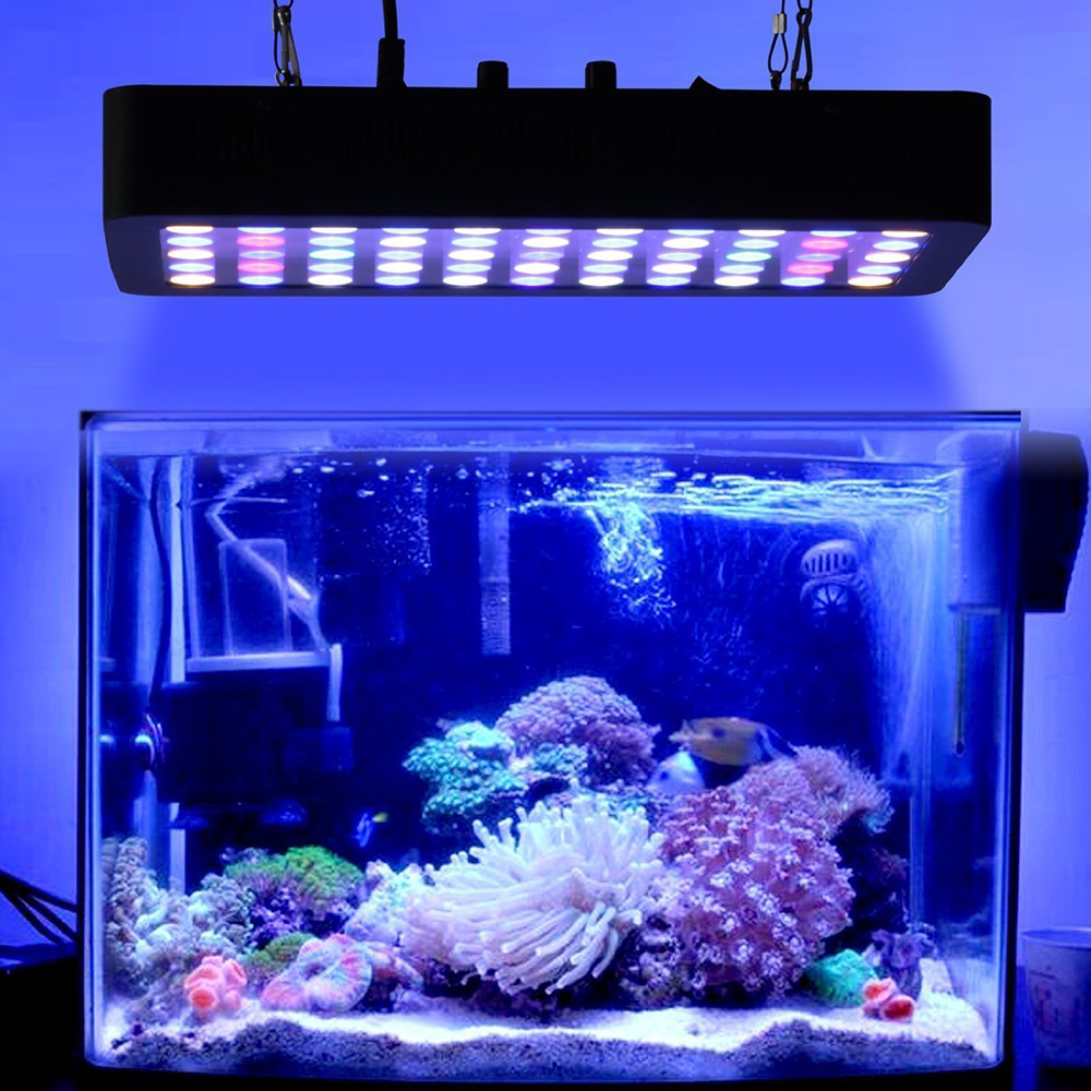 アクアリウム LED ライト 165W Amazon.co.jp: 165W LEDアクアリウムライト、ダブルディマー、調整可能