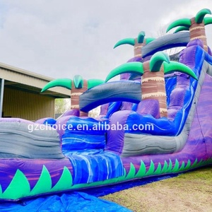 Trượt Nước Inflatable Lớn Với Bể Bơi Trượt Nước Thương Mại - Product Image 2
