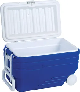 47L Foam Insulin Vaccine Blood Transport Medical Drug Ice Cooler Box