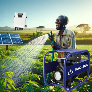 1500W 110V 2hp Hoge Stroom Dc Booster Zonne-Oppervlaktewaterpomp Voor Landbouw Irrigatie Diesel Handmatige Watermotor Pomp Pompe - Product Image 2