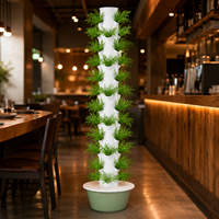 Système hydroponique vertical robuste à 48 plantes et 12 niveaux avec pompe