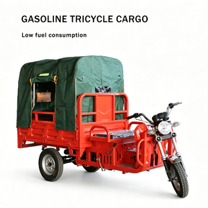 <span class=keywords><strong>Triciclo</strong></span> <span class=keywords><strong>Económico</strong></span> <span class=keywords><strong>de</strong></span> Gasolina <span class=keywords><strong>de</strong></span> 2 Plazas con Toldo y Caja <span class=keywords><strong>de</strong></span> <span class=keywords><strong>Carga</strong></span> Personalizable, Motocicleta <span class=keywords><strong>de</strong></span> 3 Ruedas para Transporte Agrícola - Product Image 1