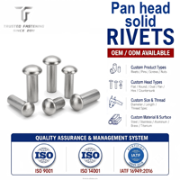 TianFang Rivets Pleins Tête Bombée Acier Inoxydable Qualité Usine Non Standard Finition Brillante Matériel Personnalisable