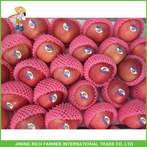 แอปเปิ้ลฟูจิแดงสดคุณภาพดีจากจีน ขายส่ง - Product Image 6