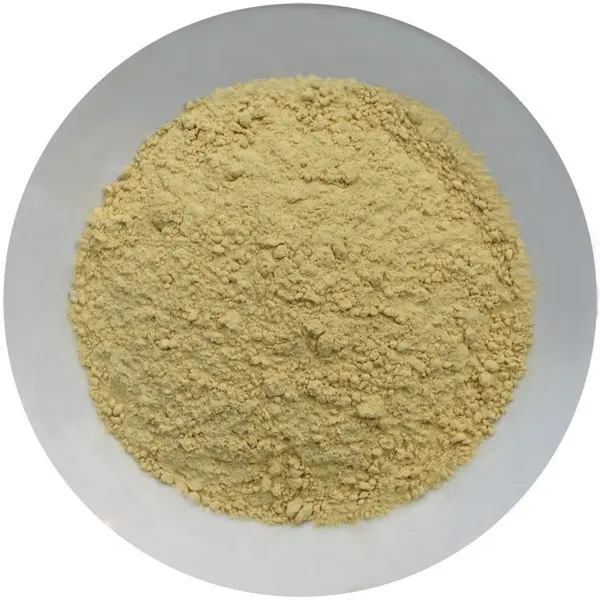 2023 New Crop dehydrated ginger powder factory supply