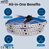 Tira de Luces LED Inteligentes Programables TRX Garden, DMX512, Flexibles, con Control Remoto USB, IP67, para Paisajismo
