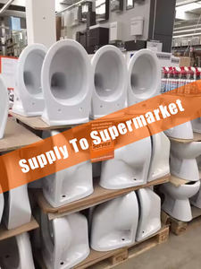 Inodoro de Cerámica de Una Pieza, Montado en la Pared, Precio Directo de Fábrica, Embalaje para Comercio Electrónico, Compra al por Mayor, Apto para el Mercado Europeo - Product Image 5