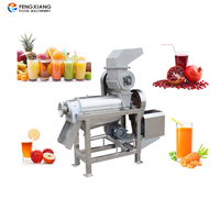 Commercial Fruit Juice Extractor