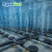 Diffuseur à bulles fines, membrane en silicone EPDM, plaque de support en ABS PP pour l'aération des eaux usées industrielles
