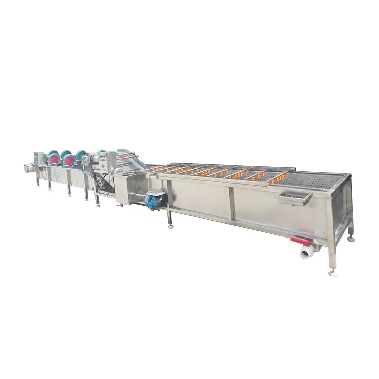 Vegetable Washing and Drying Machine Fresh Fruit Vegetable Processing Units Low Consumption High Efficiency Dried Products 5.1KW