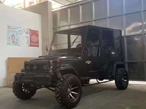 Potente Vehículo Todoterreno Eléctrico ATV UTV 4x2 4x4 de 5000W, 2/4 Plazas, para Adultos, Uso Agrícola, Motor de 3000W 4000W, Económico - Product Image 4