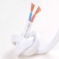 2-adriges Flachkabel aus Kupfer mit PVC-Isolierung, paralleles Stromkabel 300/500V für Innenbeleuchtung