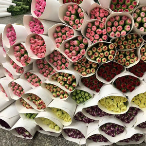 ดอกคาร์เนชั่นสดใหม่หลากสีสันพร้อมใบสีเขียวสำหรับร้านดอกไม้ ตกแต่งตะกร้าแขวน ใช้ได้หลายโอกาส - Product Image 3