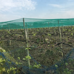 โครงสร้างตาข่ายทางวิศวกรรมความแม่นยำสูงสำหรับนกถักเส้นด้ายเส้นด้ายเส้นด้ายที่มีความหนาแน่นสูง - Product Image 1