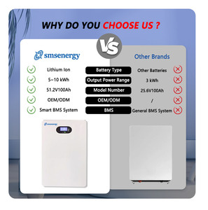 ระบบจัดเก็บพลังงานภายในบ้านแบบติดผนัง SMS Energy 48V/51.2V 100Ah/200Ah 5-10kWh แบตเตอรี่ลิเธียมแบบแยกส่วน CAN - Product Image 6