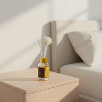 Diffuseur de parfum en rotin sans chaleur écologique en verre pour la maison et le bureau Décoration Aromathérapie Ensemble de diffuseurs à roseaux