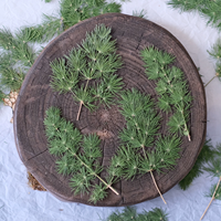 Asparagus Fern Scrapbooking Epoxy Resin Tanaman Alami Ramah Lingkungan