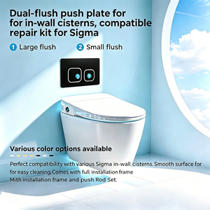 Placa de descarga de inodoro negra mate, pieza de repuesto de doble descarga 246x164mm, compatible con Geberit - Product Image 2