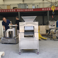 Automatische Dubbele Roller Sapcentrifuge Motor RVS 304 Hoge Efficiëntie Fruitpers Machine voor Citroen Groen