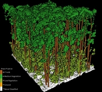 GreenValley LiDAR360 V9, Procesamiento de Nubes de Puntos con IA de Vanguardia para Segmentación de Árboles Individuales, ALS, ULS, MLS, BLS, HLS, TLS