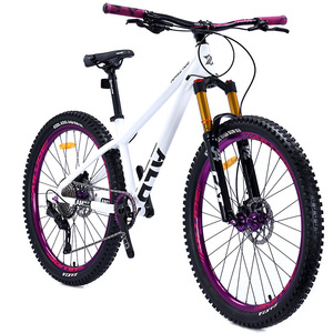 <span class=keywords><strong>Vélo</strong></span> de montagne 26/29 pouces à 10 vitesses, <span class=keywords><strong>prix</strong></span> d'usine, pour homme et femme, idéal pour le VTT, le dirt jump, les cascades et le descente - Product Image 3