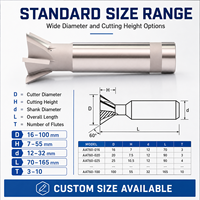 Fraise à queue de cygne en carbure, fraise à rainurer à 45 degrés, pointe brasée, taille personnalisée pour l'usinage CNC des métaux