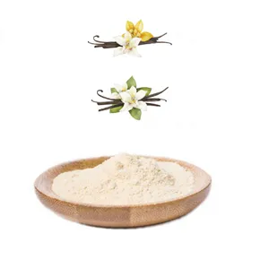 Most Popular and Hot Sales Organic Ground Vanilla Bean Powder vanilla flavoring powder for Food Additives