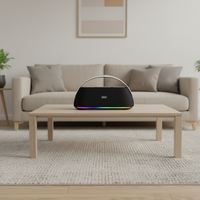 BKK / OEM 120W RMS Enceinte portable avec microphone intégré, boîtier en plastique, LED RGB, alimentation par batterie, Boombox sans fil pour extérieur