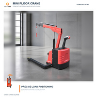 Mini-grue de levage hydraulique mobile de 900 kg avec certification CE