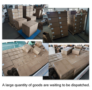 Maniquí <span class=keywords><strong>de</strong></span> RCP Felino, Modelo <span class=keywords><strong>de</strong></span> Reanimación <span class=keywords><strong>de</strong></span> Primeros Auxilios Veterinarios para Gatos, para Entrenamiento en Hospitales <span class=keywords><strong>de</strong></span> Mascotas y Uso en la Enseñanza en Escuelas Veterinarias - Product Image 4